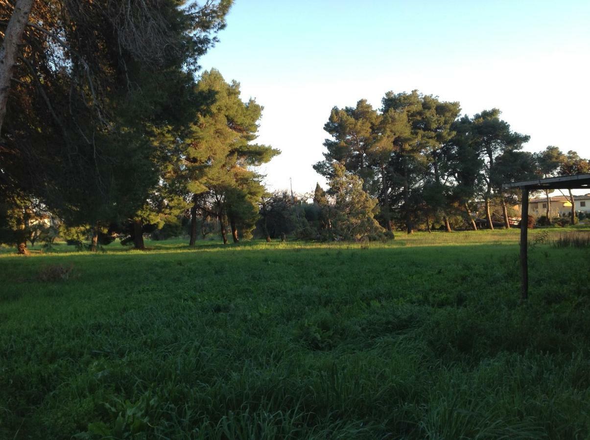 Villa Di Campagna Santa Giulia カルボニフェラ エクステリア 写真