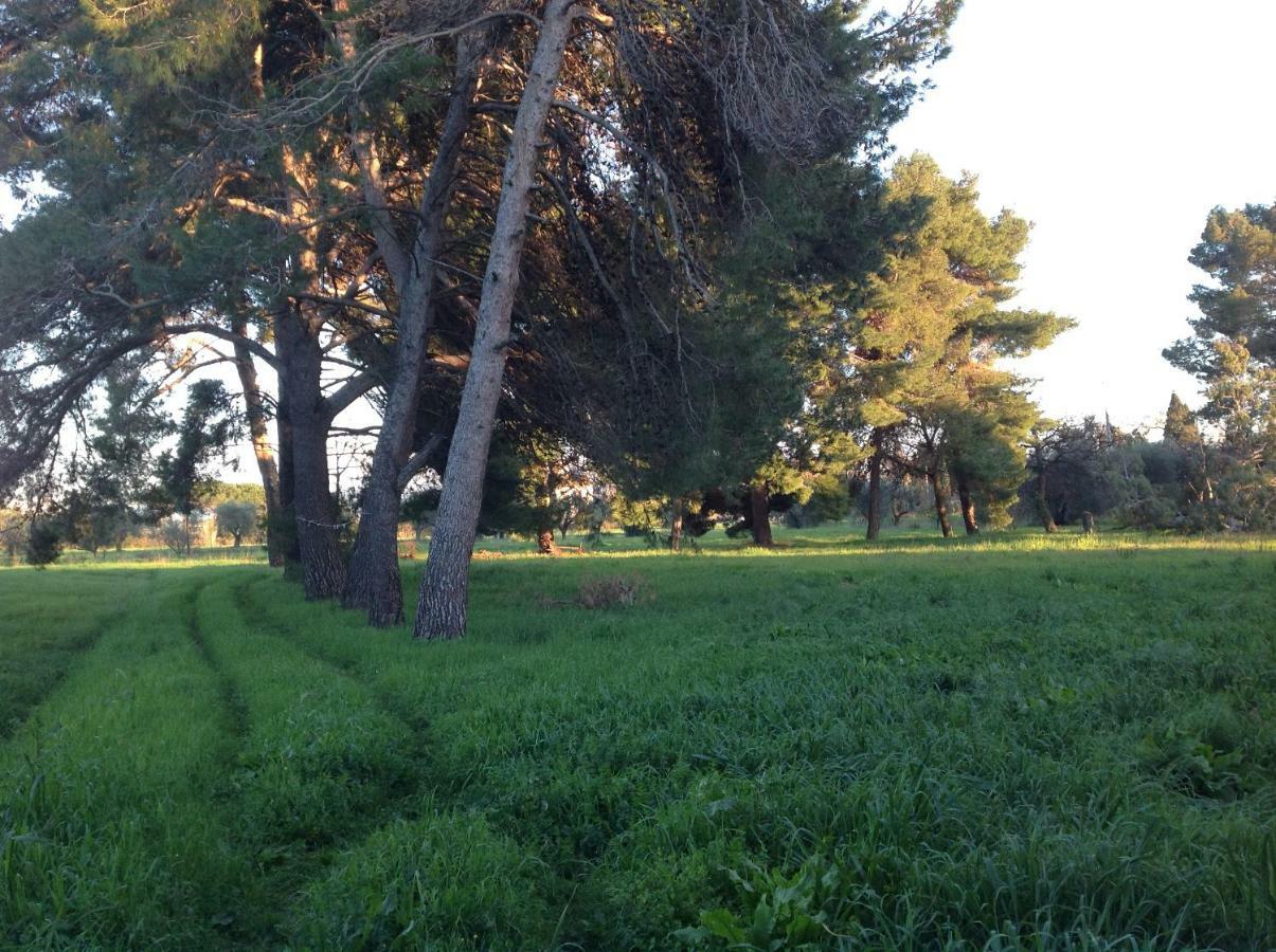 Villa Di Campagna Santa Giulia カルボニフェラ エクステリア 写真